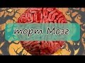 Как сделать торт Мозг на Хеллоуин / Halloween brai