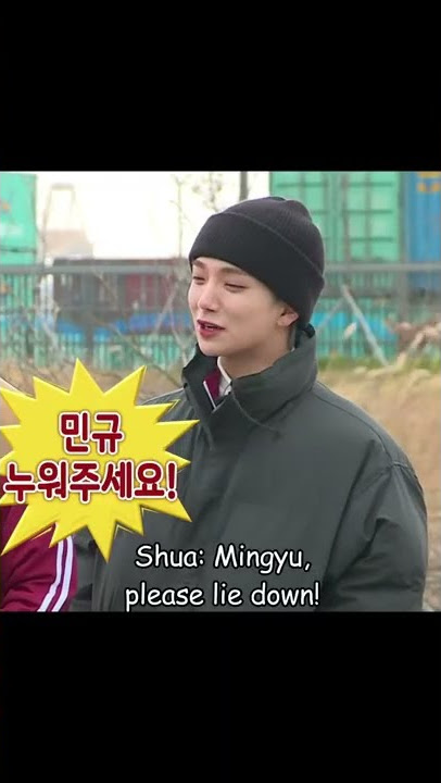 They're literary use Mingyu as a ruler