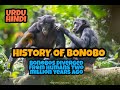 Bonobos diverged from humans two million years ago , Urdu and hindi