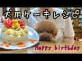 2才の誕生日に犬用ケーキ