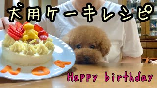 2才の誕生日に犬用ケーキ