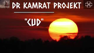 DR KAMRAT PROJEKT w piosence \