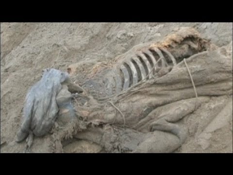 Update euronews science - Neuer Fund: Mammut samt Fettpolster