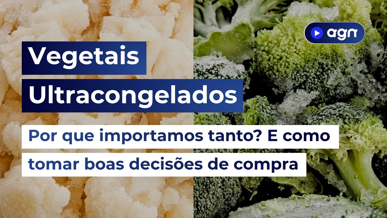 Vegetais Congelados Importados: o que todo comprador B2B precisa saber antes de decidir