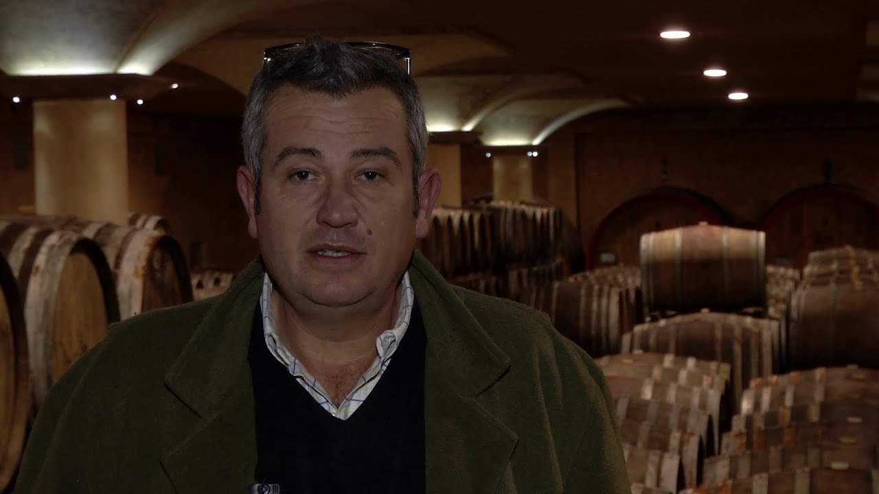 Wine&Siena: Presentazione di Giacomo Neri