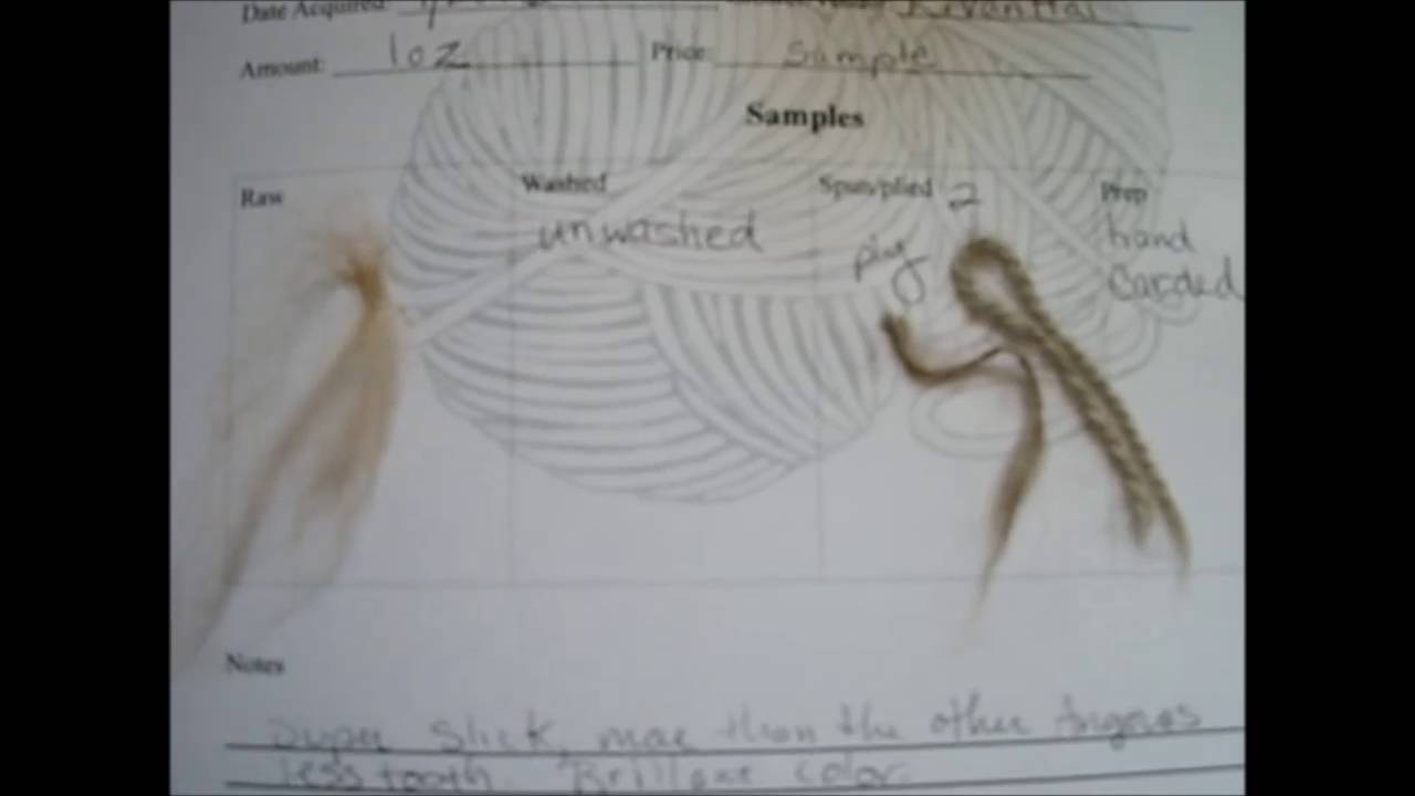 Spinning Journal Pages YouTube