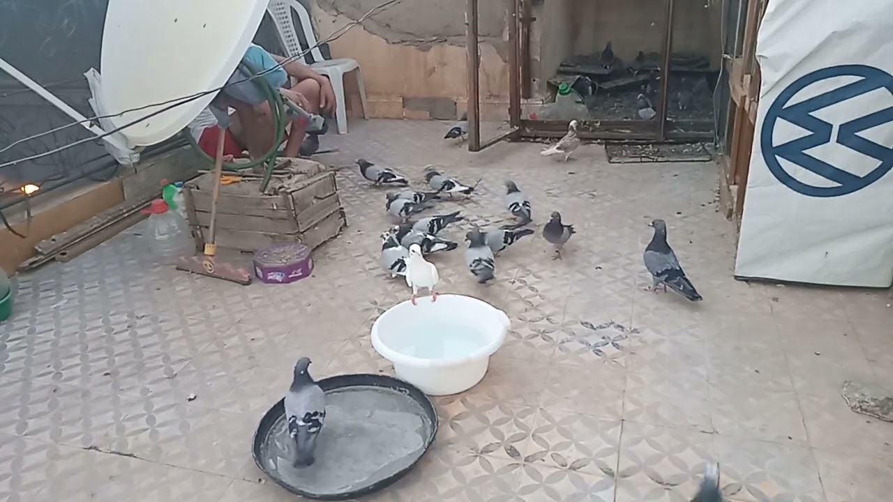 سلام.علي.كوام.الاخوان.الله.يسخر