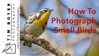 How to Photograph Small Birds
