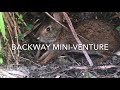 Backway Mini-Venture