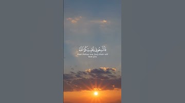 سورة ال عمران، أية ٣١ _ #الشيخ_احمد_العجمي #islamicvideo #quran #اكسبلور #احمد_النفيس #تلاوة_خاشعة