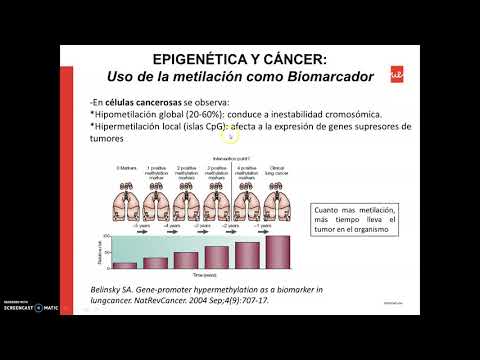 Vídeo: Epigenética En Células Madre Cancerosas