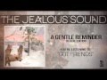 The Jealous Sound - Got Friends