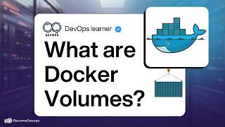 Docker Volumes explained!