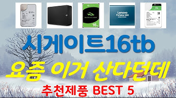 시게이트16tb 추천, 역대급 할인 찬스! 가성비 TOP5