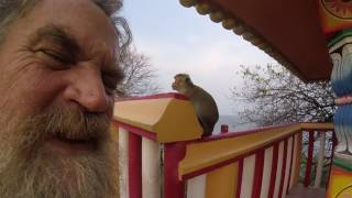 🔵 Ape Meaning To Ape Explained C2 English Vocabulary CPE IELTS - ESL British English Pronunciation