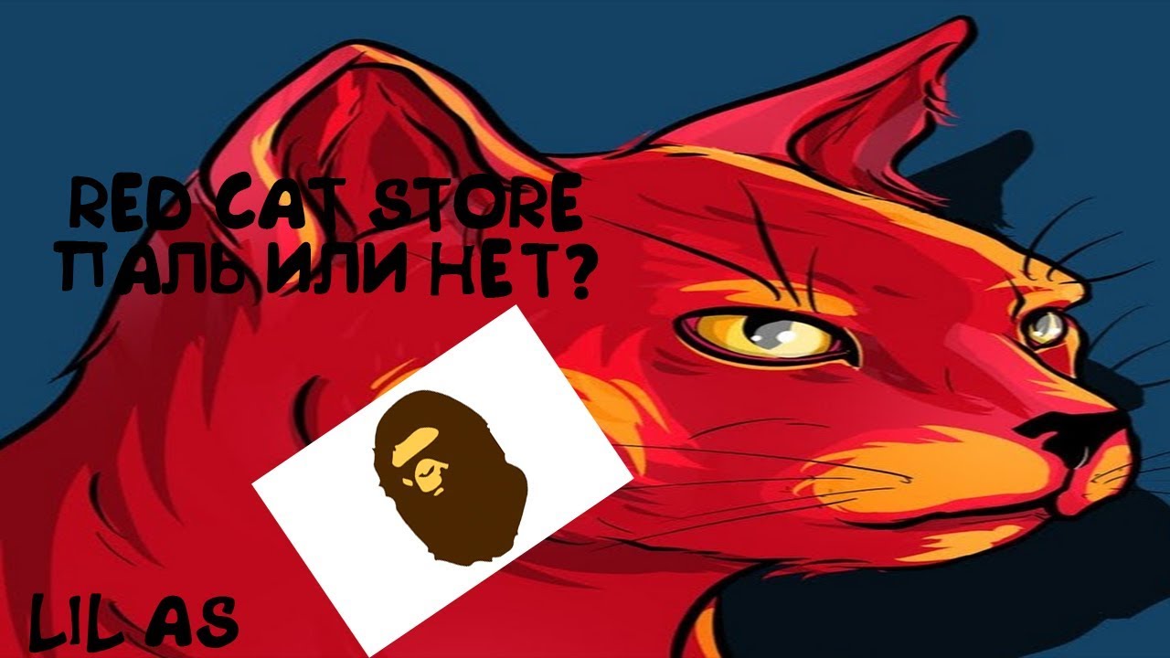 Red cat прохождение. Ред Кэт. Red Cat магазин. Red Cat мерч. Ред Кэт секрет.