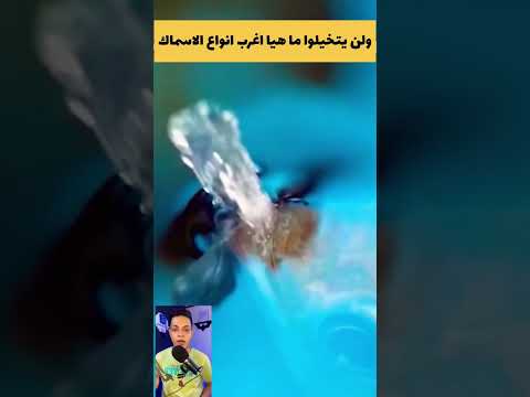 اغرب واندر انواع الاسماك في العالم لا يمكن تصدق  