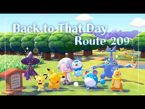 【ポケモンBGM】あの日歩いた209番道路をもう一度🌿 | Route 209 | 勉強・作業用（2時間）