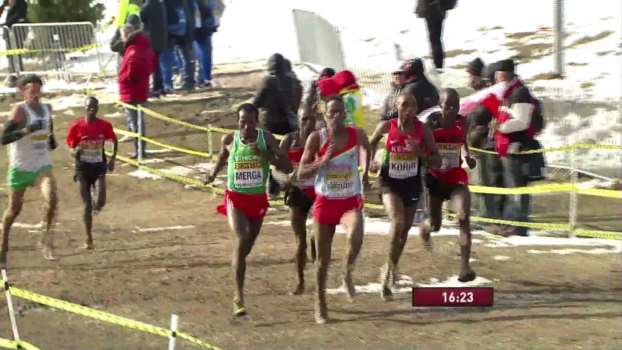WXC Bydgoszcz 2013 - Senior Men's Race