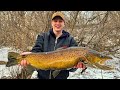 Winter brown trout fishing