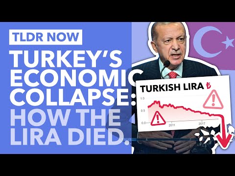 Why Turkey's Currency Just Collapsed: The Lira Economic Crisis - TLDR News