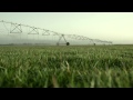 Center Pivot and Linear Irrigation Equipment for Farming - Valley Irrigation