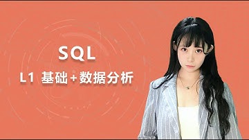 （全球数据分析冠军课程）SQL语言在Excel表格中进行数据分析
