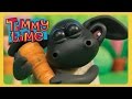 Timmy Time - Весенний сюрприз для Тимми [Timmy's Spring Surprise]