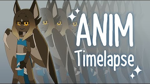 ANIM Timelapse // Ma