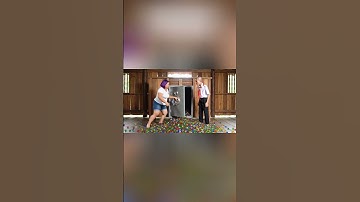 Hùng Trọc đổ lỗi Capybara để bi vào két sắt và cái kết #capybara #shorts