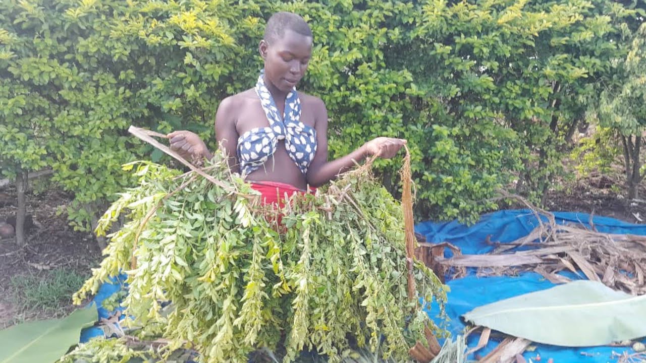 Lifestyle of Rural Girl_Village Woman Morning Routine | Daily Work on ...
