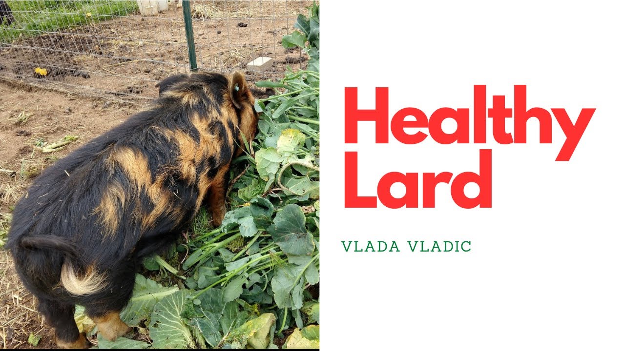HEALTHY LARD EASY INSTRUCTIONS HOW TO MAKE YOUR OWN YouTube