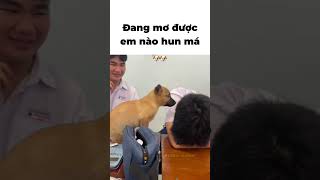 làm hết hồn