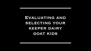 Evaluating and Selecting Your Dairy Goat Keeper Kids