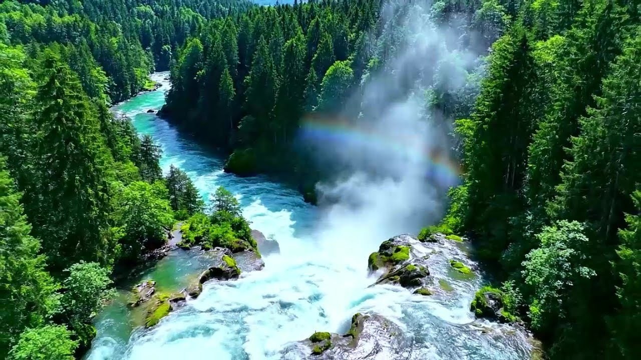 🍃 Peaceful Relaxing Music – Calm Your Mind and Release Stress Naturally