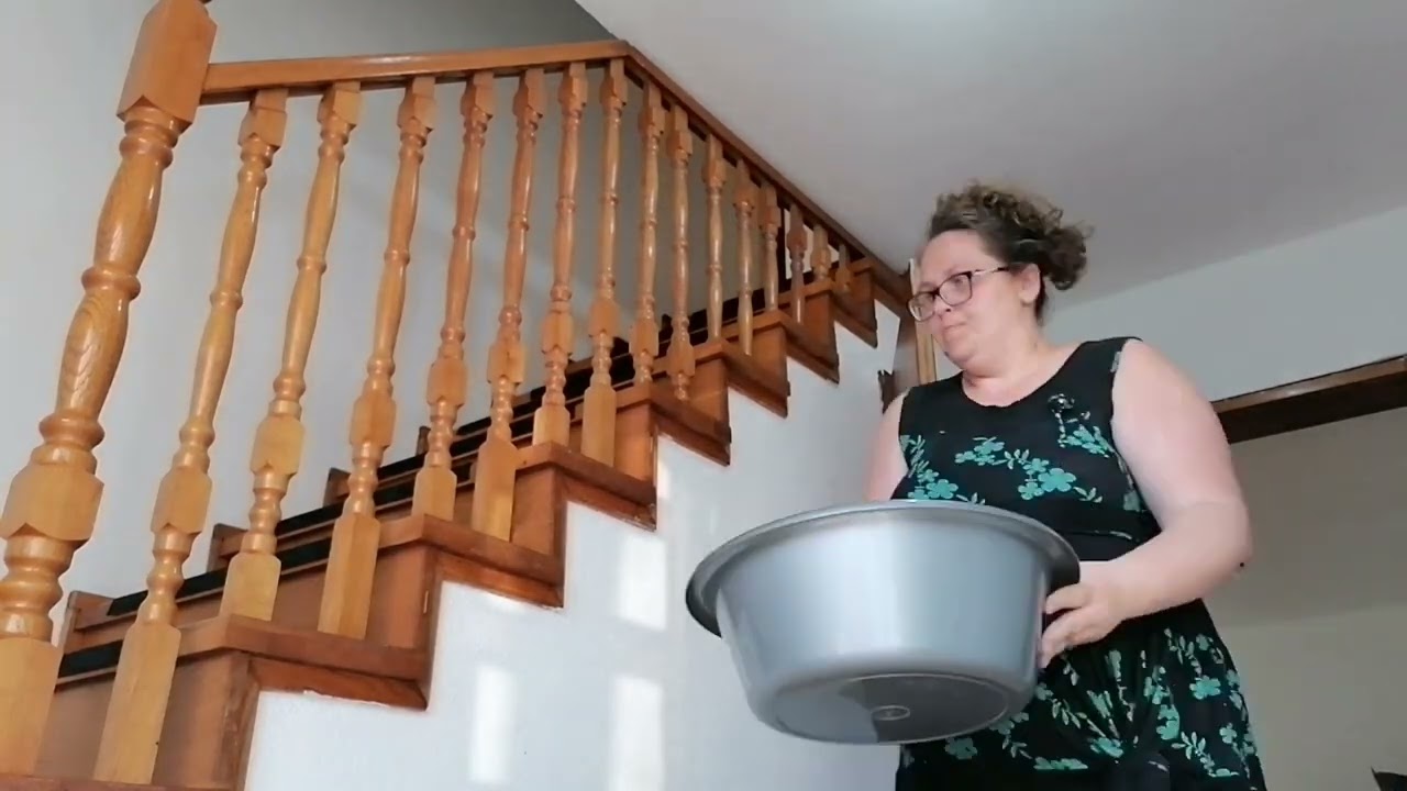 Čišćenje kuce(drugi dan)