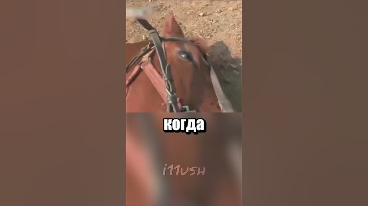 Конь обманщик