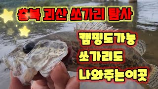 오늘은 충북괴산으로 쏘가리낚시를 다녀왔습니다~캠핑낚시 가능한 괴산!