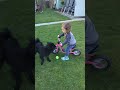 Holly gets the ball and gives it back to me