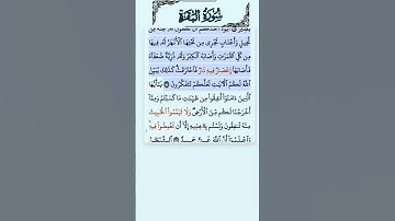 سورة البقرة الاية 266 فارس عباد قرآن 135