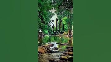 قران كريم تلاوة خاشعه #duet #المصحف #القزابري #دويتو #اكسبلور #تيك_توك #beautiful #الرحمن #لايك