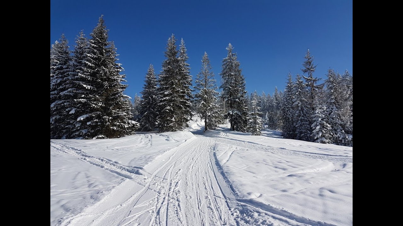 Obidowa - Turbacz, trasa biegowa