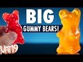 Big Gummy Bears are 18 times larger than regular gummi bears