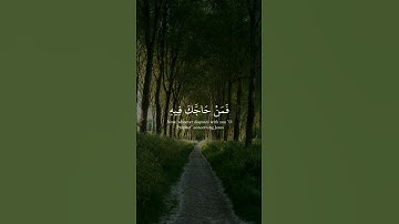 _سورة_آل_عمران ||حالات واتس قرآن ||تلاوة#مشاري_العفاسي
