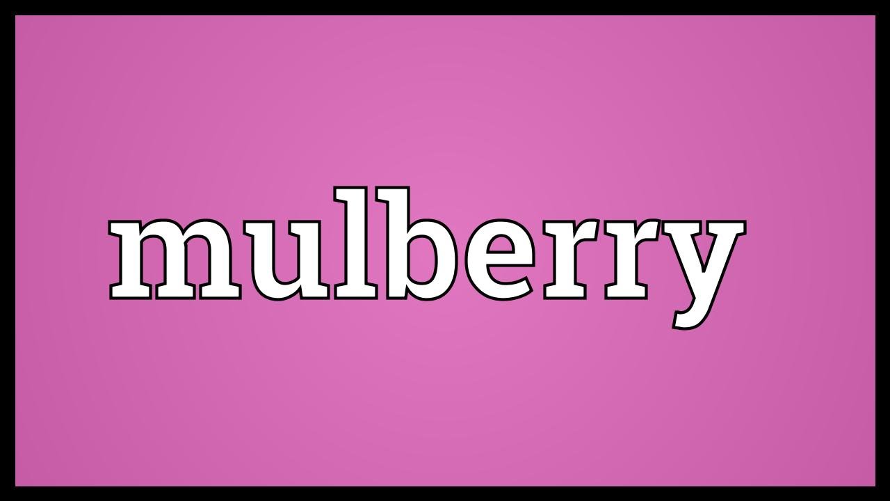 Mulberry Meaning - YouTube