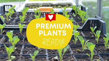 Unlock Thriving Gardens: Premium Planting Materials Now Available!