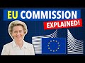 European Commission Overview Quiz