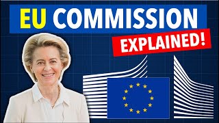 What is the European Commission?