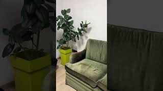 On-Demand Private Office for Psychologists | coho - the coworking home