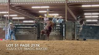 Lot51 Page217K